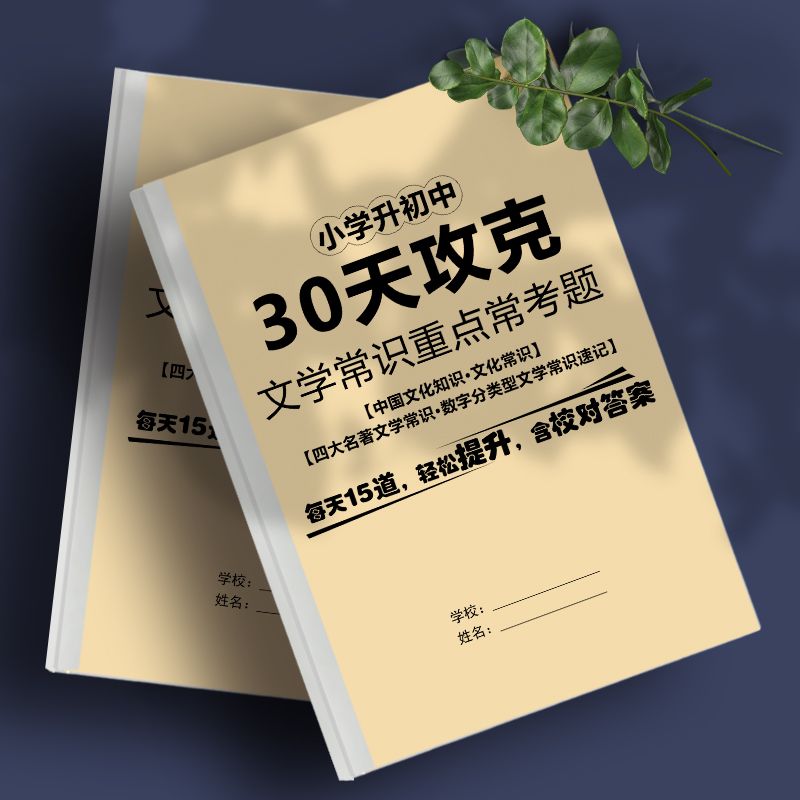 30天攻克小升初语文文学常识重点必刷题阅读理解答题万能模板复习