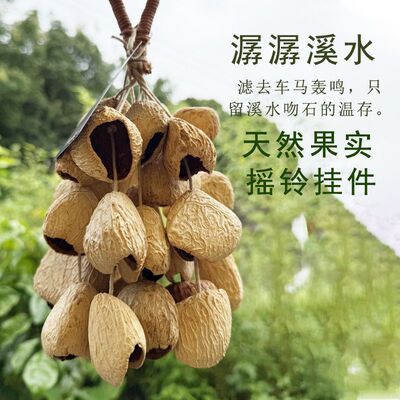 手铃摇铃串铃伴奏声音疗愈瑜伽灵修早教乐器果实手摇风铃果壳