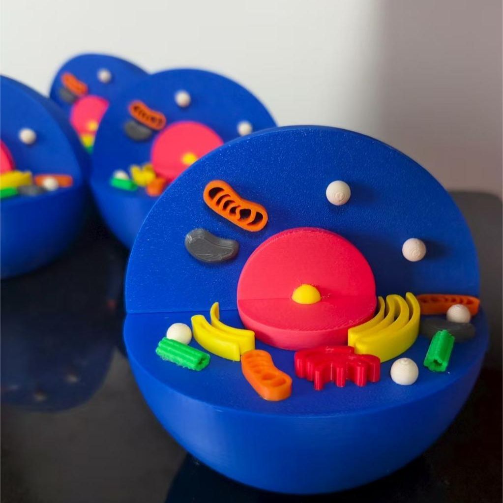 3D打印订制新款蓝色动物细胞 教学模型初高中寒暑假生物作业教具