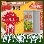 真空包装 25年东北头茬黄糯玉米10根 发货 试吃3根