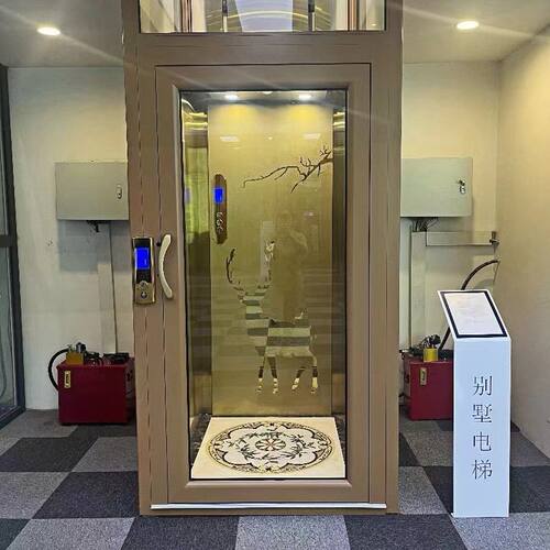 家用电梯别墅二层三层五层曳引液压式自建房复式阁楼小电梯升降机