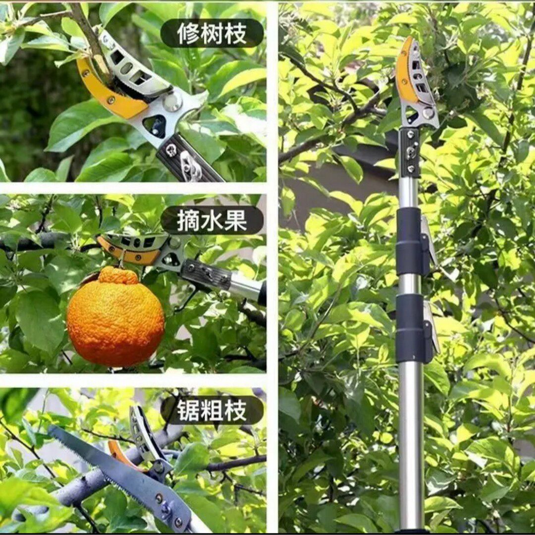 高空果枝剪树枝专用剪刀高空修剪树枝果枝长杆伸缩杆采果剪修剪器
