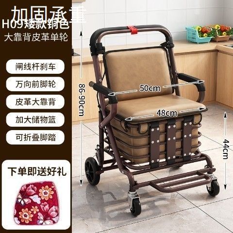 老人手推车老年人坐的能推走的软椅子家用巨无霸购物小推车免安装