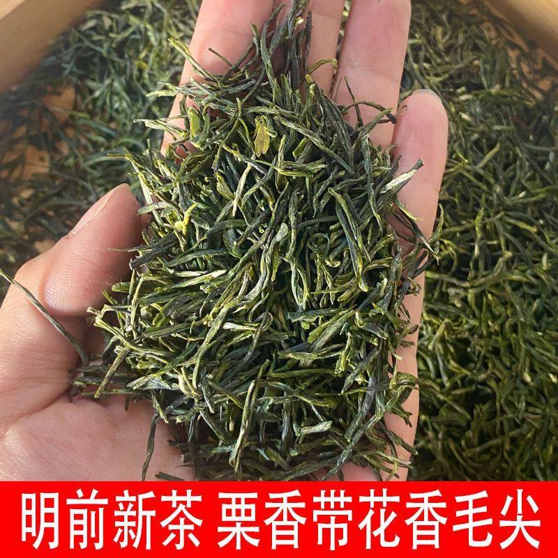 【茶厂直销新茶2025毛尖散装绿茶茶叶高山嫩芽手工茶浓香型毛尖,茶,特色产区绿茶,淘宝优惠券,粉丝福利购,淘宝优惠卷
