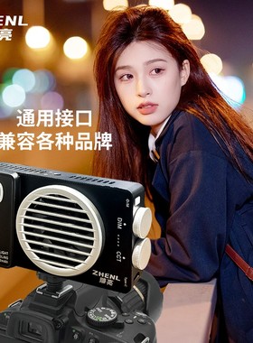 臻亮ZHENL40瓦大功率双色温便携口袋补光灯直播探店拍摄外拍灯