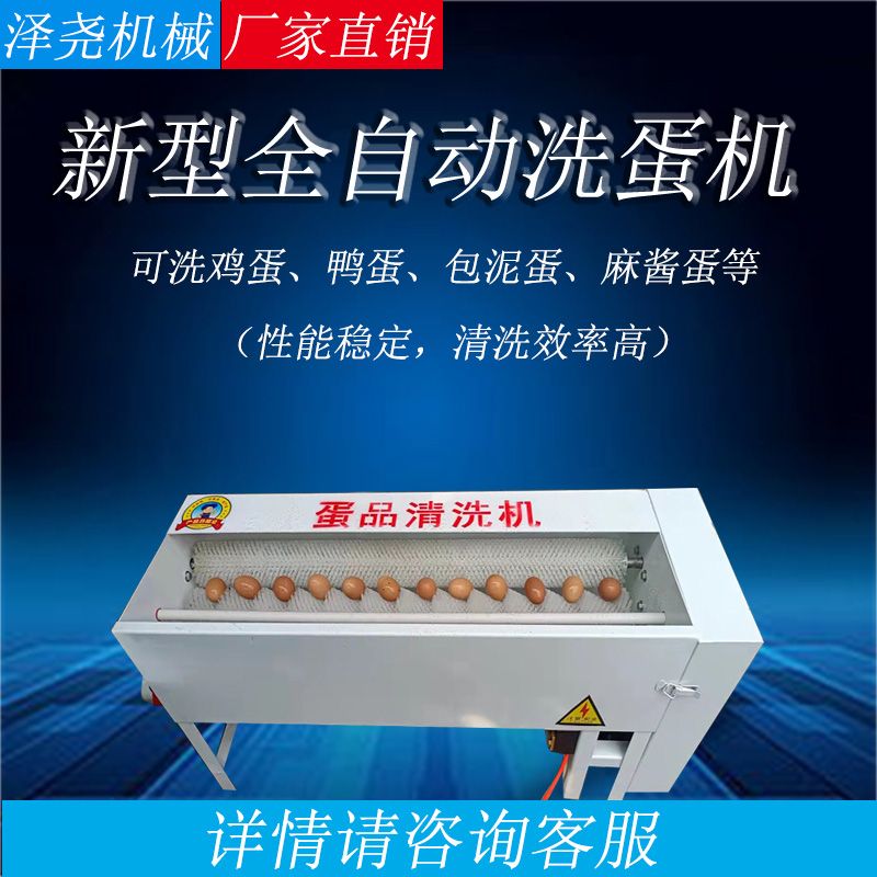 全自动洗蛋机小型蛋品清洗机鸡蛋鸭蛋鹅蛋泥蛋脏蛋家用新款机械