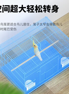 芦丁鸡新款家用文鸟笼大全玄凤鹦鹉笼鸽子专用大号别墅易清洗笼子