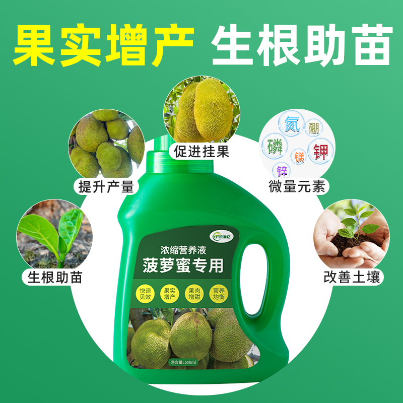 菠萝蜜专用肥果树菠萝蜜树树苗肥料复合营养液水溶氮磷钾有机缓释
