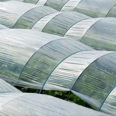全新透明塑料薄膜防尘种菜小拱棚膜农用塑胶布专用膜保温防寒二膜