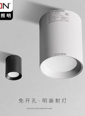 西顿照明LED免开孔明装吸顶筒灯客厅走廊过道天花灯CEX9101C-A