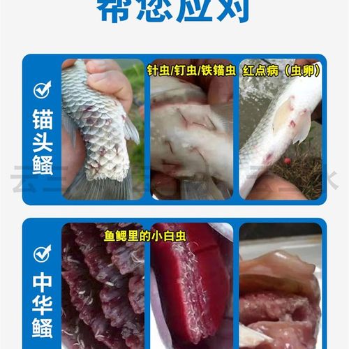 锚头鳋騷克星专杀猫头鳋中华鳋鱼塘杀虫药水库水产养殖鱼药不伤鱼
