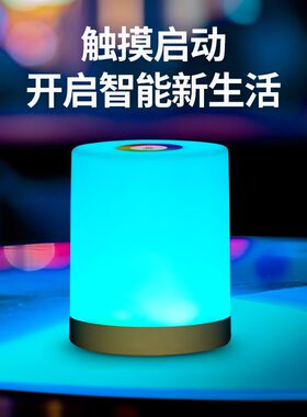 浪漫调情卧室小夜灯氛围床头灯调光变色酒吧七彩氛围灯触摸桌面灯