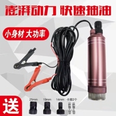 抽油泵电动柴油12v大功率车载加油泵24v48v家用加油枪220v抽水泵