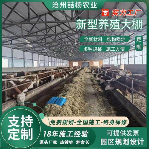 农业养殖大棚 养鸡养猪羊舍保温大棚 日光温室 椭圆管大棚钢架