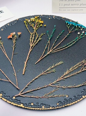 长枝条澳梅压花 天然压制干花 手工创作滴胶耳环相框压花画素材