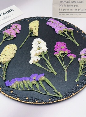 勿忘我压花标本 带枝干真干花 DIY滴胶耳环相框手账手工植物花材
