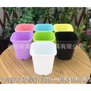 酢浆草酢酱草花盆多肉植物塑料花盆多肉万象盆 月季花盆塑料模具