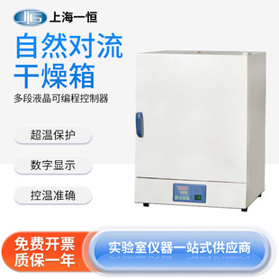 上海一恒 9031A数显定时控温准确不锈钢 自然对流干燥箱DHG