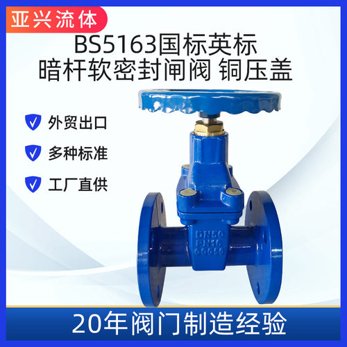 英标软密封闸阀 法兰手轮管道闸阀 球墨铸铁 DN250 GGG50现货现发