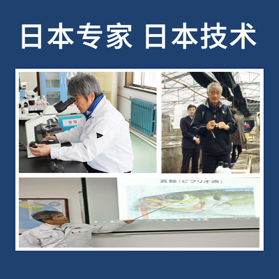 海童旺食养成用EP饲料鱼食缓沉型沉降型石斑鱼舌鳎鱼标苗成品鱼粮