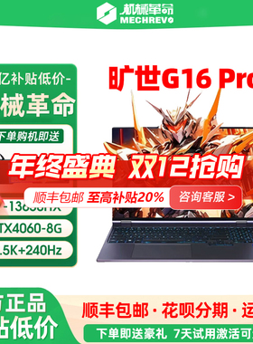 机械革命极光Pro/矿世G16Pro电竞游戏本学生笔记本电脑政府补贴