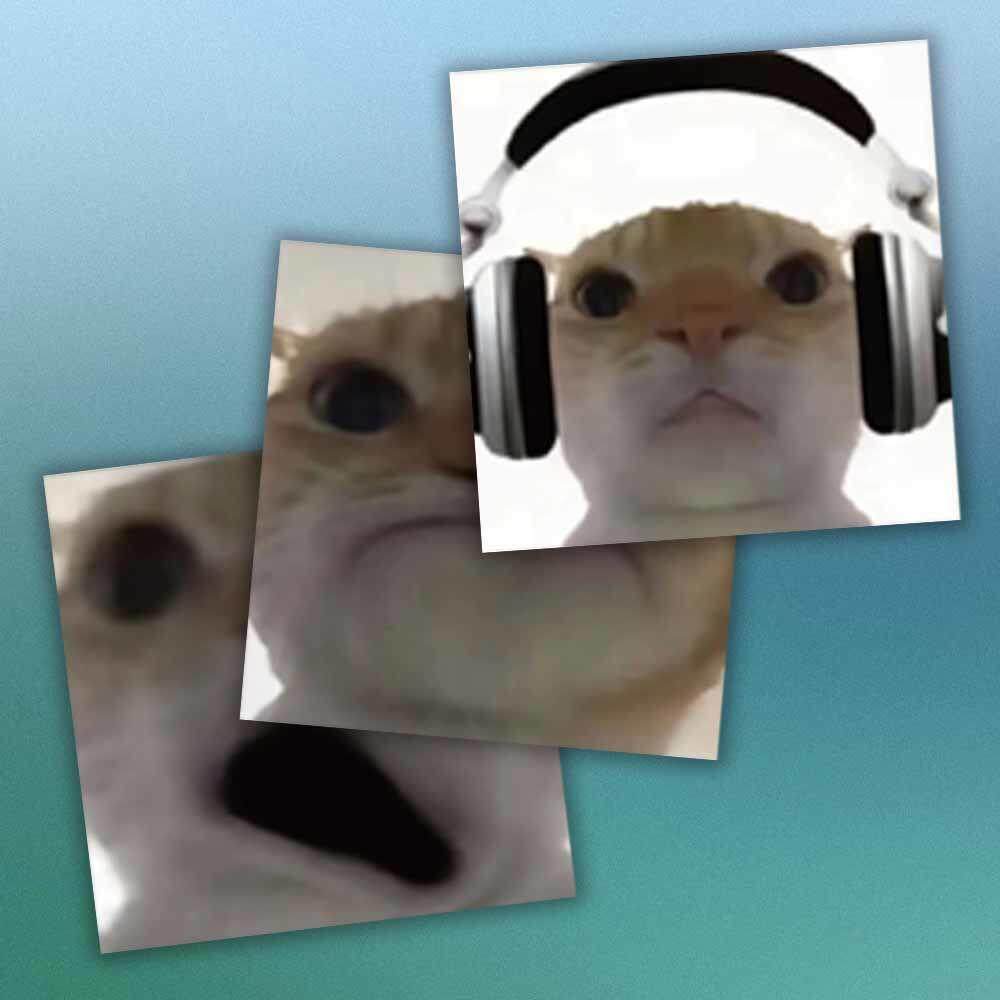 地铁逃生贴画爆款新品歪嘴表情小猫贴纸可爱搞笑手机沙雕装饰桌面