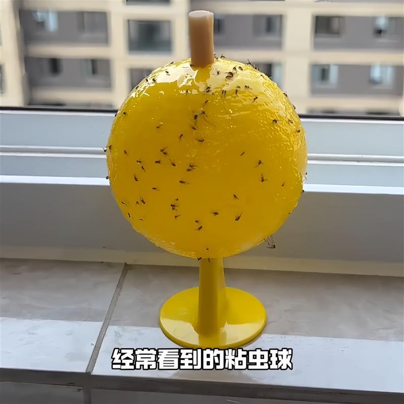 果蝇诱捕器小飞虫灭杀神器室内去除飞虫克星厨房蠓虫粘虫球诱苍蝇