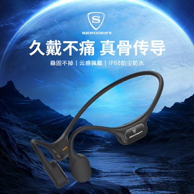 德国SENGIRNY骨传导运动游泳耳机