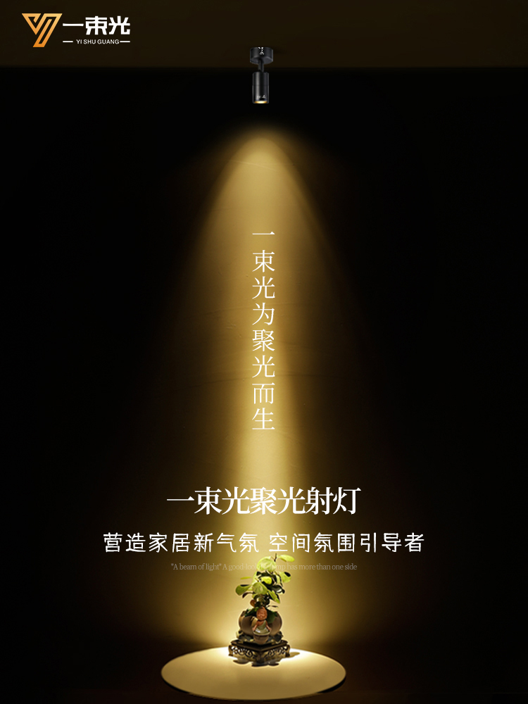 一束射灯表面安装小角度3/8/15度客厅茶室入口橱柜饰品餐厅轨道灯