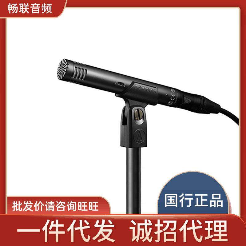 AudioTechnica/铁三角AT2031电容麦钢琴提琴吉他人声专业话筒