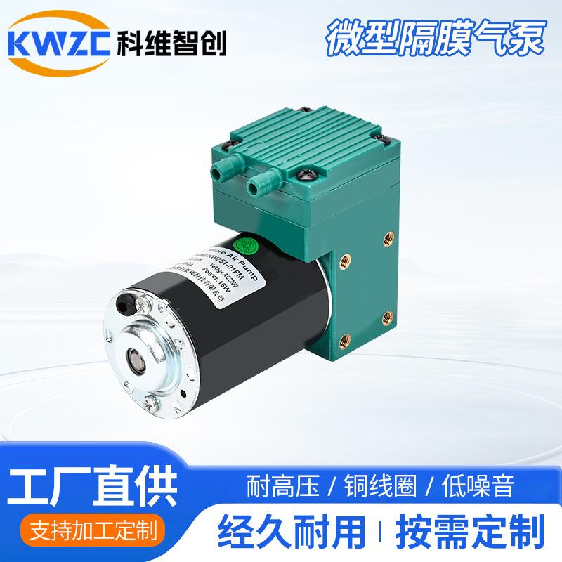 51-01PM微型隔膜直流隔膜气泵12V电动吸气真空负压气泵