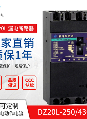 塑壳漏电空开断路器DZ20L-160 250 4300保护器三相四线毫安380V63