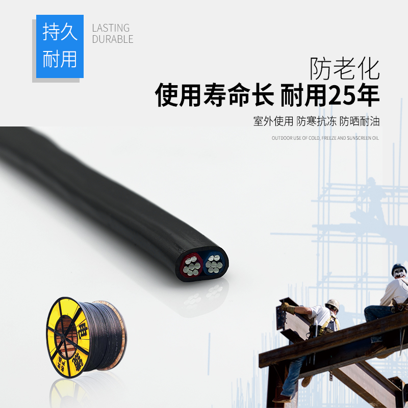 铝线电线 2芯双并家用国标2.5 4 6 10 16 25平方户外架空防老化缆