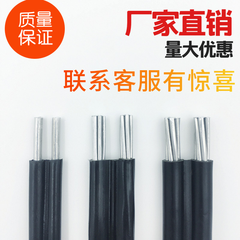 国标2芯户外铝线电线护套线4/6/10/16平方防老化电缆线家用电源线