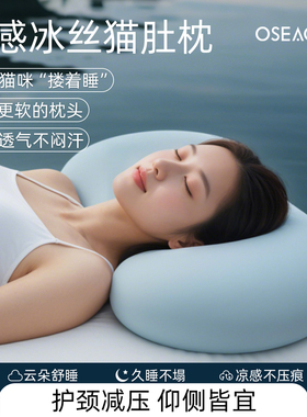 夏季凉感冰丝记忆棉护颈枕OSEAGLE深睡专用枕芯