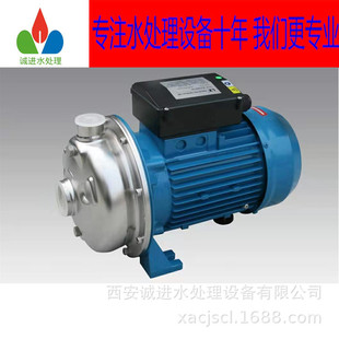 泵 现货批发广东水泵BLC70 075T 增压泵 水处理原水泵水厂灌装