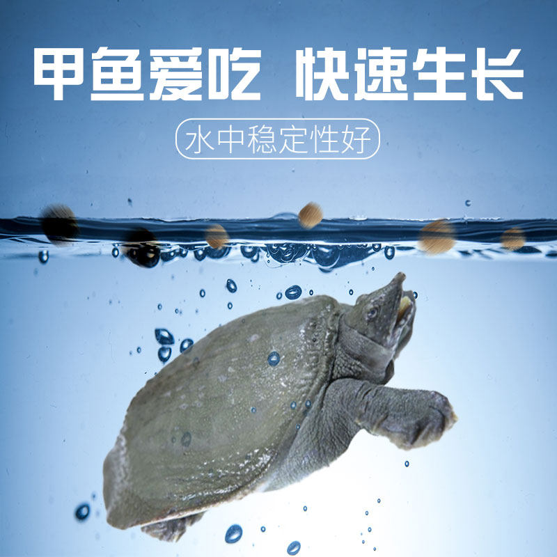 永胜甲鱼饲料中华水鱼饲料养殖专用颗粒鳖幼苗饲料鳖王八乌龟通用,宠物/宠物食品及用品,观赏龟/鳖饲料,淘宝优惠券,粉丝福利购,淘宝优惠卷
