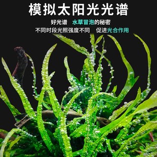 尼特利水草灯筒灯管造景灯at3支架LED全光谱智能专业鱼灯新疆包邮