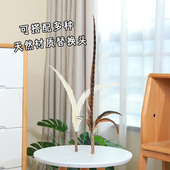 猫咪旺农场超长逗猫棒长杆山鸡羽毛木天蓼可替换头自嗨解闷猫玩具