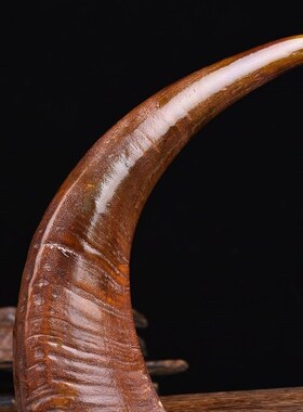 【保真】天然披毛xi整角家居创意艺术品办公室文玩摆件手把件文玩