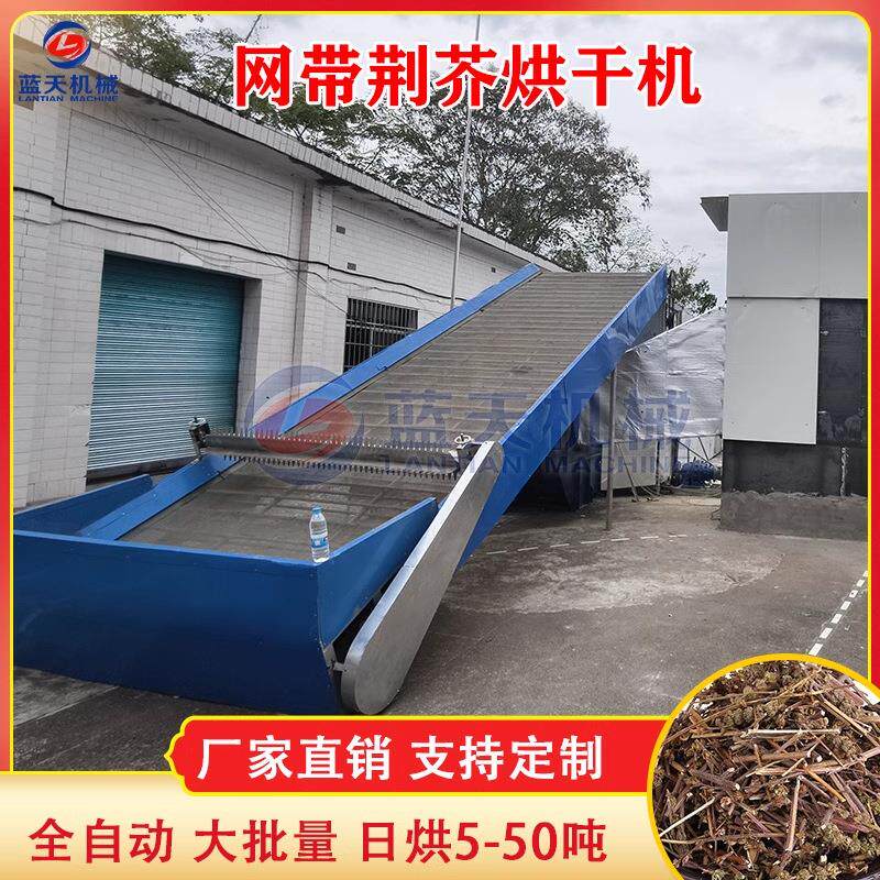网带荆芥烘干机 香荆芥姜药材烘烤设备 芥线芥假苏四棱杆蒿干燥机