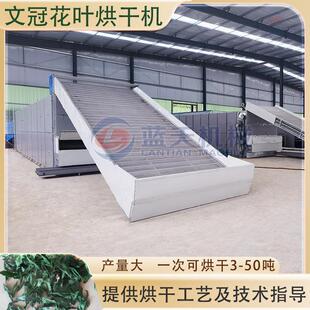 网带式文冠花叶烘干机 文冠果叶土木瓜叶干燥机 文光果叶烘干设备