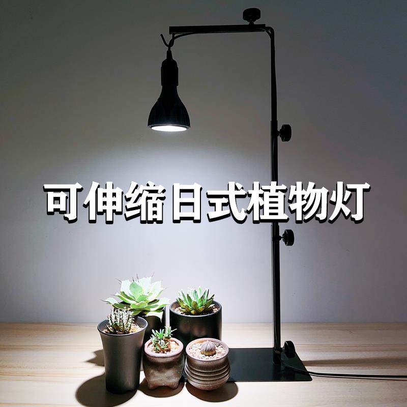 植物补光灯支架立式块根植物架子桌面绿植龟甲龙龙舌兰造景爬虫架