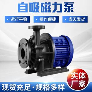 污水排污水泵 EMP系列电镀电泳氧化磁力泵 水处理氟塑料泵