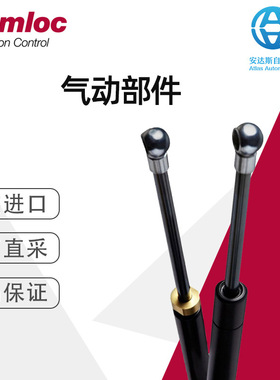 Camloc SWV6P1100135P1L 20mm oil – 400N 德国直采 多型号