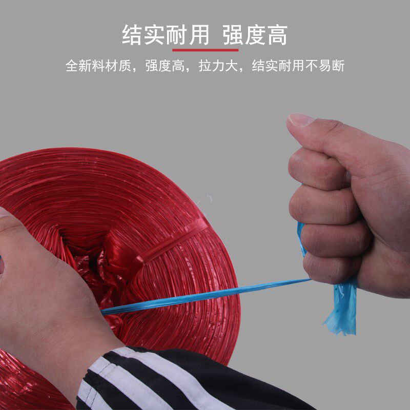 捆扎绳子塑料绳尼龙绳打草绳捆绑绳搬家捆扎球白100克