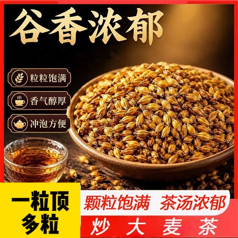 大麦茶烘焙炒熟颗粒饱满大麦茶泡水冲饮茶麦香醇厚好喝代用茶CZ
