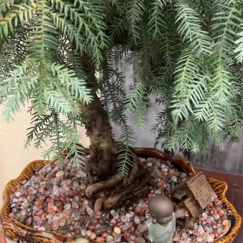 天然原石非红玛瑙石雨花石鹅卵石头花盆水培工艺摆件鱼缸造景铺底