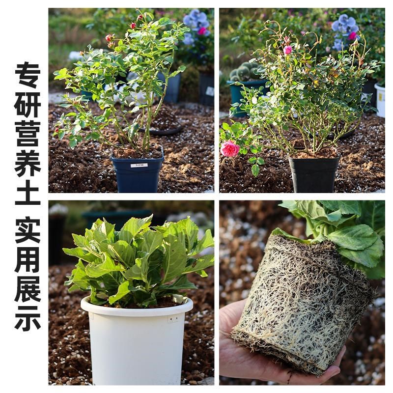 营养土养花通用专用赤玉土种菜专用营养土疏松透气月季绣球种植土,鲜花速递/花卉仿真/绿植园艺,介质/营养土,淘宝优惠券,粉丝福利购,淘宝优惠卷