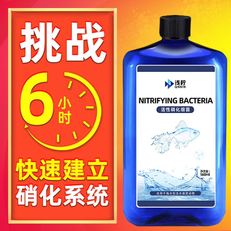 硝化细菌鱼缸用硝化消化益生活菌净水剂水立清水质清澈澄清稳定剂